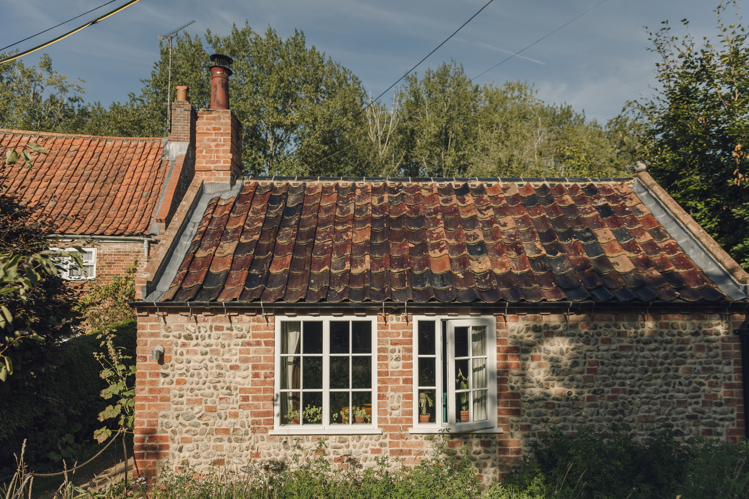 The flint cottage behind its wildflower meadow
