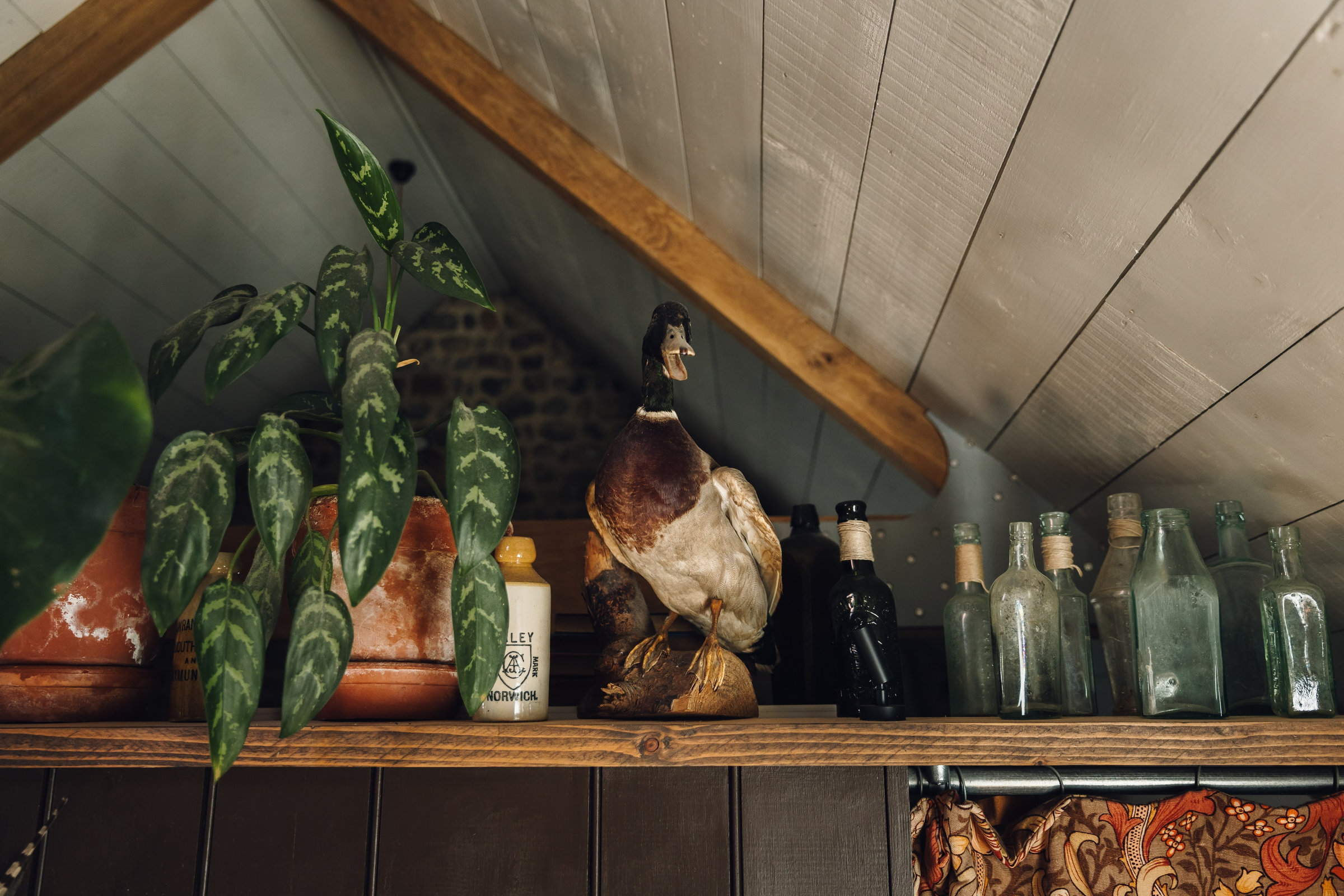 Old bottles and pots from local antique shops
