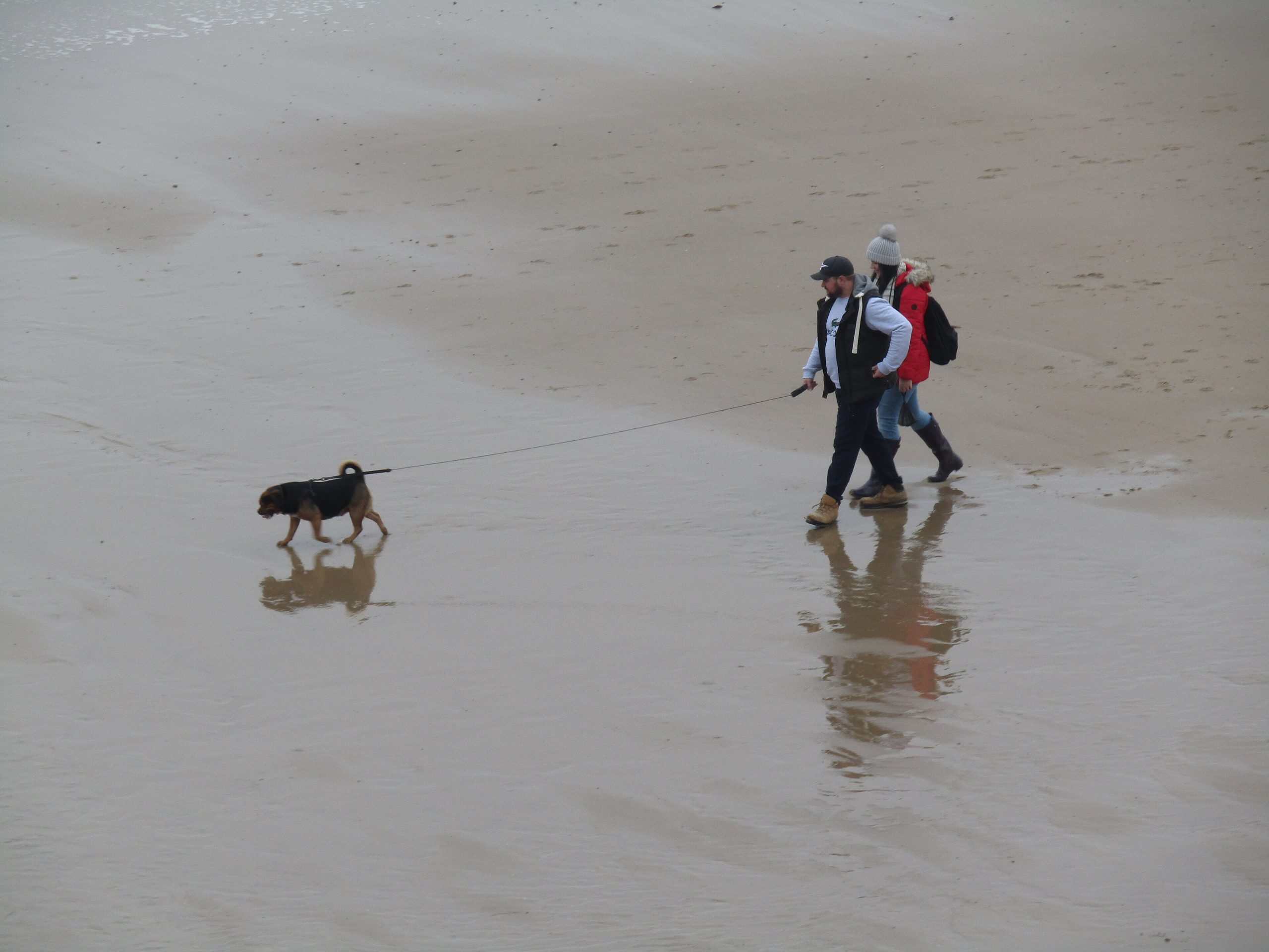 Walking the dog on the wet sand at Mundesley beach