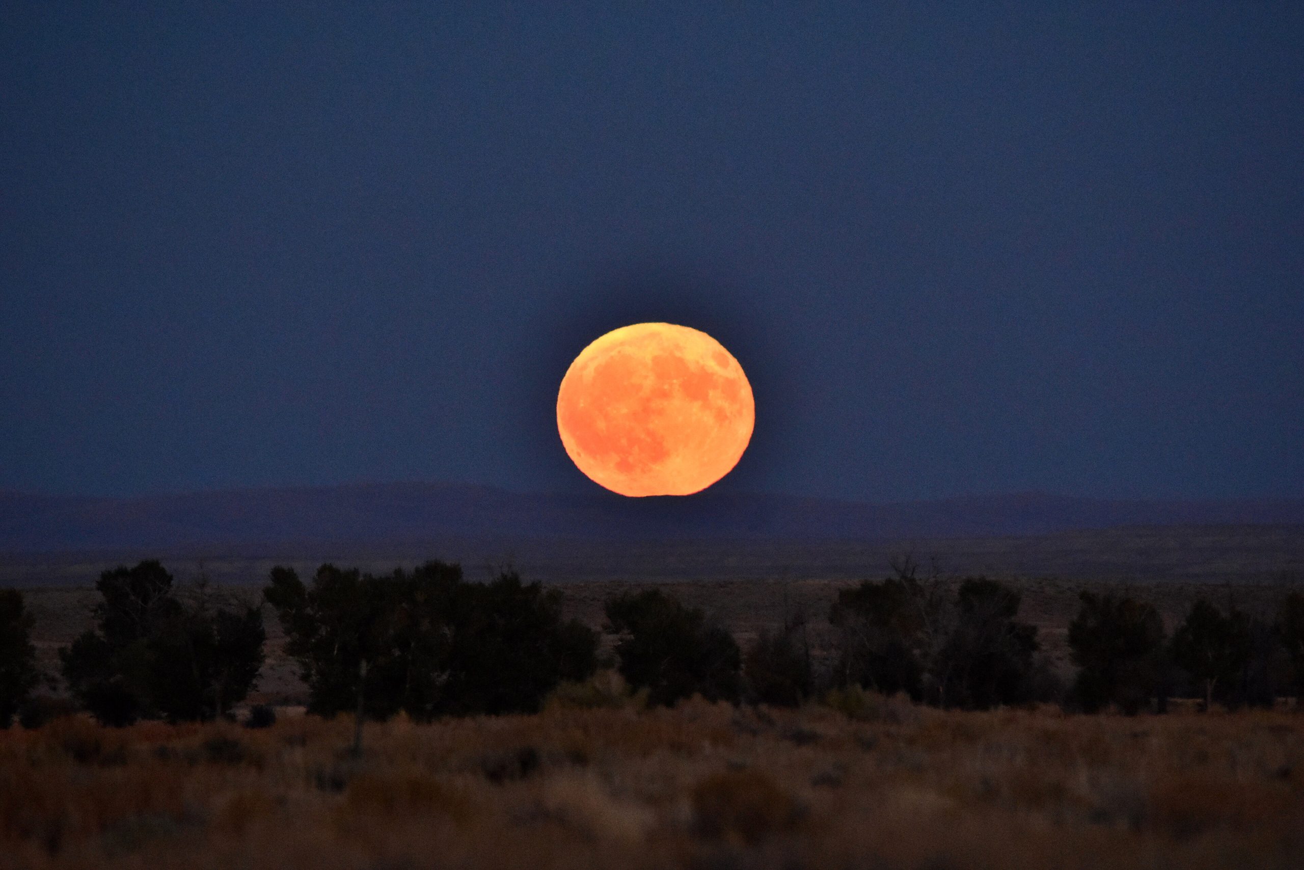 An orange full moon rising over dark countryside